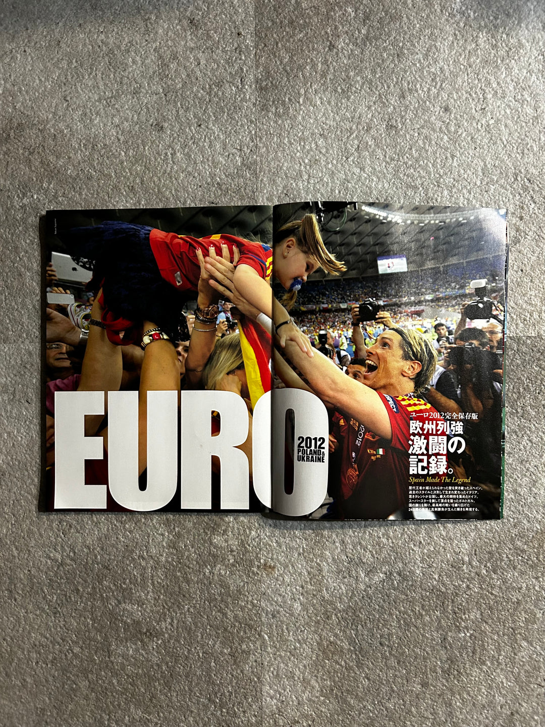 EURO2012 Number PLUS Japanese football Magazine